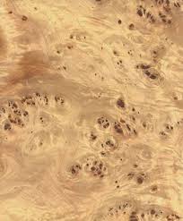 Pin On Exotic Veneers