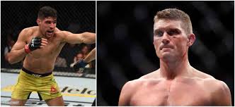 Thompson did a good job of evading any significant. Stephen Wonderboy Thompson Takes On Vicente Luque At Ufc 244 Mma India