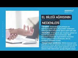 El Bilegi Agrilari Neden Olur Youtube