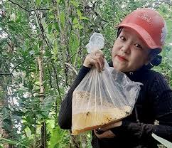 Luồn rừng tìm ong vò vẽ để mưu sinh