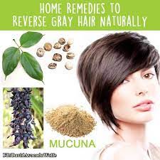 How to reverse gray hair naturally. David Wolfe Home Remedies To Reverse Grey Hair Naturally Facebook