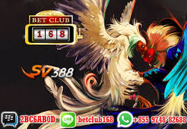 Taruhan Live Sabung Ayam Sv388 Bonus Kemenangan