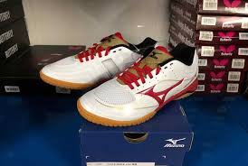 Seaview corporate center 10188 telesis court, suite 200 san diego, ca 92121 phone: Ma Long Personal Shoes Mizuno Wave Speedflex Sports Facebook