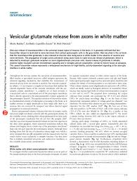 Concluzii privind interventia, rezultate din scenariul de securitate la incendiu sau din evaluarea capacitatii de aparare impotriva. Pdf Vesicular Glutamate Release From Axons In White Matter