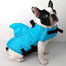 Top 15 Best Dog Life Jackets In 2019 Pet Struggles