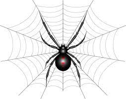 This Is A Vector Illustration Of A Black Widow Spider Spider Tattoo Spider Art Spider Illustration
