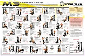 25 unique bodybuilding exercises