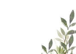 Free app icons in various ui design styles for web and mobile. Green Watercolor Leaves Rsvp Card Template Free Greetings Island Watercolor Leaves Flower Background Wallpaper Green Watercolor