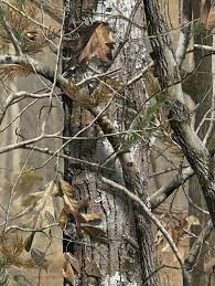 Being confident you're concealed shouldn't be one of them. Realtree Wallpaper Camo Wallpaper Realtree Camo Wallpaper Realtree Wallpaper