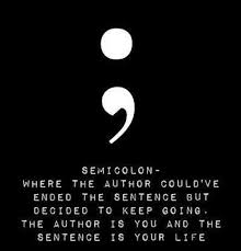 Pin By Taylor Lynn On Oof Go For It Quotes Understanding Quotes Semicolon