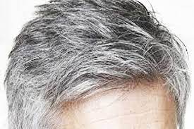 Kurangnya asupan oksigen itu menyebabkan kondisi rambut memburuk hingga timbullah uban sebagai akibat dari produksi melanin yang buruk. Amalan Hitamkan Rambut Jauhi Uban Al Muhtadin