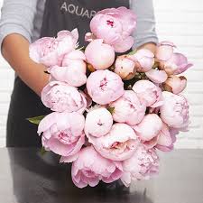 Ramo 26.bölüm izle, ramo izle, ramo son bölüm izle, ramo 25 aralık izle, ramo 26.bölüm full izle, ramo 26.bölüm tek parça izle. Peonias Perfumadas Aquarelle