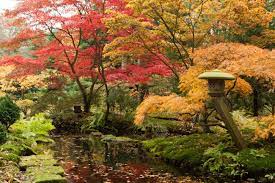 Japanese Gardens Are Gorgeous In Fall Naturalistic Garden Gardens Of The World Japanese Garden Style
