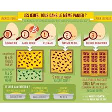 Infographie De La Ruche Qui Dit Oui Choisir Ses œufs