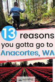 20 Perfect Things To Do With Your Kids In Anacortes Wa In 2020 Day Trips From Seattle Weekend Trips From Seattle Anacortes