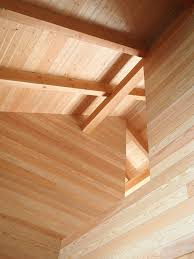 Douglas Fir Interior Walls And Ceiling Exposed Fir Beams No Finish Yet Wood Accent Wall Wood Interior Walls