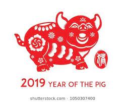 Pin On Year Of Pig