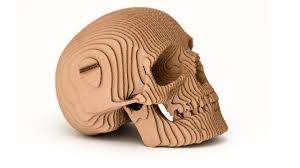 *free* shipping on qualifying offers. Human Skull Of Cardboard Youtube