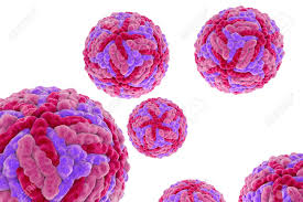 Maybe you would like to learn more about one of these? Virus De Encefalitis Japonesa Aislado En Fondo Blanco Ilustracion 3d Un Virus De Arn De La Familia Flaviviridae Que Se Transmite Por Picaduras De Mosquitos Y Causa Encefalitis Fotos Retratos Imagenes Y