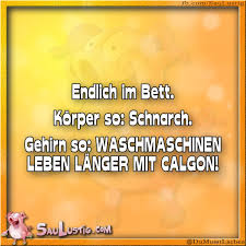 Endlich Im Bett Korper So Gehirn So Neuer Tag Neues Gluck Lustig Sarkastisch Lustige Spruche