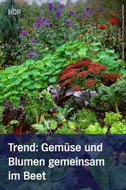 Trend Gemuse Im Blumenbeet Pflanzen Gemuse Pflanzen Pflanzen Gemuse Beet Anlegen