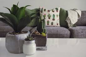 Cozy Living Room Ideas On A Budget I really miss my wall sconces. shop with me mama