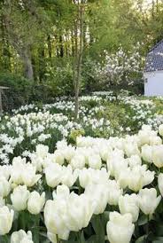 We did not find results for: 530 Beautiful White Gardens Ideas In 2021 White Gardens Beautiful Gardens Garden Inspiration