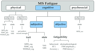 Die multiple sklerose ist in mitteleuropa die häufigste entzündliche erkrankung des zentralnervensystems. Fatigue Classification Mfis Modified Fatigue Impact Scale Ms Download Scientific Diagram