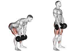 How to do dumbbell romanian deadlift: Dumbbell Romanian Deadlifts The Other Way To Train Your Hamstrings Without A Leg Curl Machine