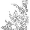 The fluttering butterflies are magnificent with their colorful wings, but there is one thing that can really compliment them even more. 1