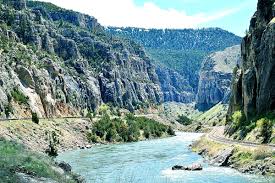 豆奶销售点 @soymilksalespoi - Twitter Profile | Sotwe