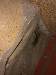 Image result for site:byggahus.se golvrenovering