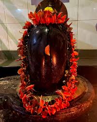 Five-petalled flowers for the five-headed one! My early encounter with the Palash  flowers was around a decade ago when we were travelling by road, in my home  state, Telangana, during the time