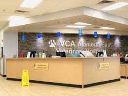 Each pet is unique and we treat them that way. Vca Alameda East Veterinary Hospital Updated Covid 19 Hours Services 50 Photos 260 Reviews Veterinarians 9770 E Alameda Ave Southeast Denver Co Phone Number Yelp