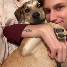 About to buy new irons...