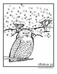 Color by number adult coloring book of winter birds. The Ultimate Collection Of Christmas Coloring Pages Woo Jr Kids Activities