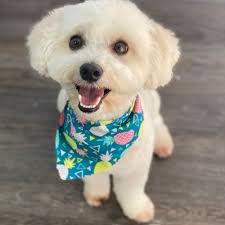 Petsmart Apollo Beach, FL 33572