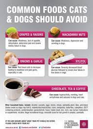 Are Grapes And Raisins Poisonous To Dogs Pet Health Food Animals Pets