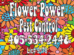 Check spelling or type a new query. Flower Power Pest Control Norman Ok