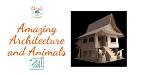 Summer 2026: Amazing Architecture & Animals! (ages 8-12)