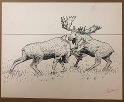 Moose Fight Original Drawing Dan Grissom Biscuit Press All tutorials feature original art as examples. moose fight original drawing dan grissom biscuit press
