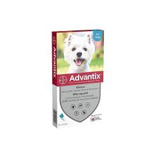 We did not find results for: Advantix 6 Antiparasitic Pipettes For Small Dogs From 4 To 10kg Buy At A Low Prices On Joom E Commerce Platform