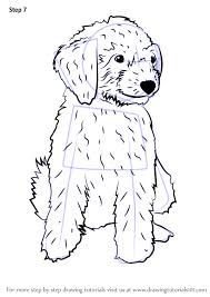 Learn How To Draw A Mini Goldendoodle Dogs Step By Step Drawing Tutorials Puppy Coloring Pages Labradoodle Drawing Coloring Pages