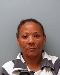 Arrest made in Vermilion Parish after finding hydro marijuana