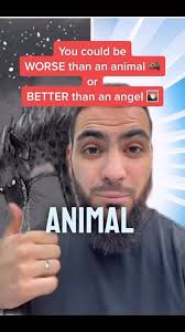The choice is yours ☝🏼 #animal #desire #angel #ibnalqayyim #reminder  #islam #muslim #exploremuslim #explore #exploreislam #alhamdulillah ❤️