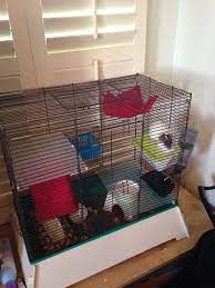 Making Your Own Levels And Flux S New Cage The Rat Shack Rat Cage Pet Cage Rats