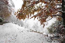 Picnic nudista tras la finalización de la la marcha, en torno a las 15h, en el parque de la. Fin De Semana Electoral En Espana Con Lluvia Viento Y Nieve