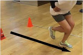 Image result for Hop Test