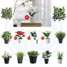 You can create a vertical garden indoors and outdoors by connecting multiple plant panels together. Ikea Fejka Artifical Potted Plant With Pot Wall Mounted Thyme Grass Home Decor Home Living Hiasan Rumah Decoration Shopee Malaysia