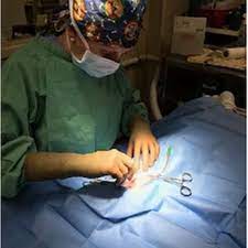 Animal care hospital, lewisburg, pa. Animal Care Hospital Veterinarians 308 Hospital Dr Lewisburg Pa Phone Number